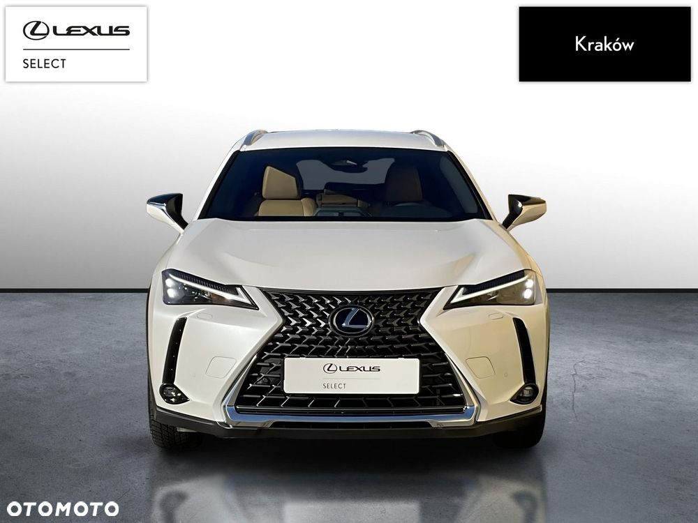 Lexus UX 300h Business - 6