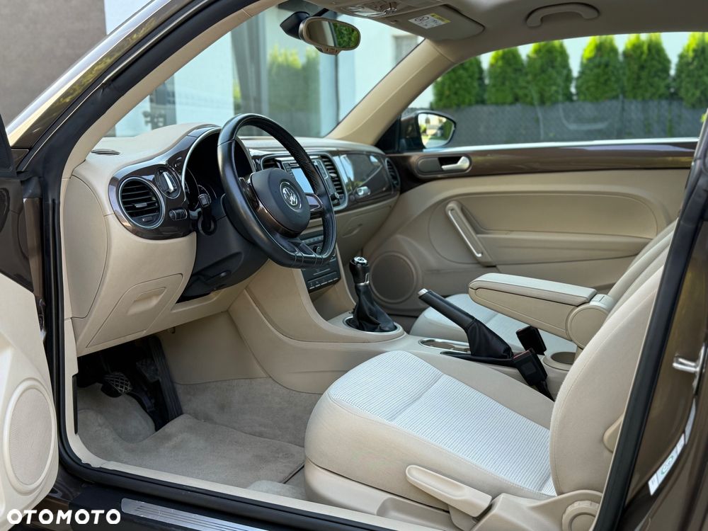 Volkswagen Beetle - 16