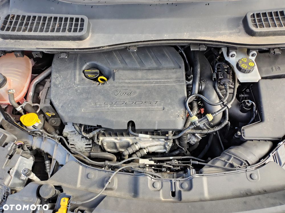 Ford Kuga 1.5 EcoBoost 2x4 Trend - 24