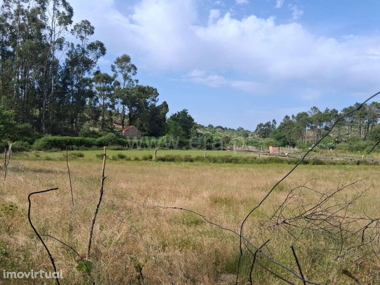 Terreno / Seia, Paranhos - Grande imagem: 2/9