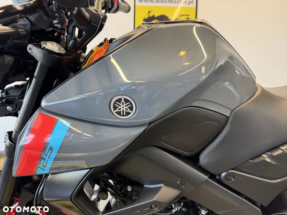 Yamaha MT - 21