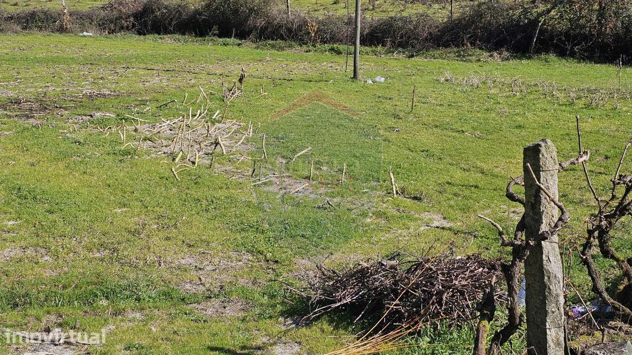 Quinta  Venda em Mamouros, Alva e Ribolhos,Castro Daire - Grande imagem: 4/12