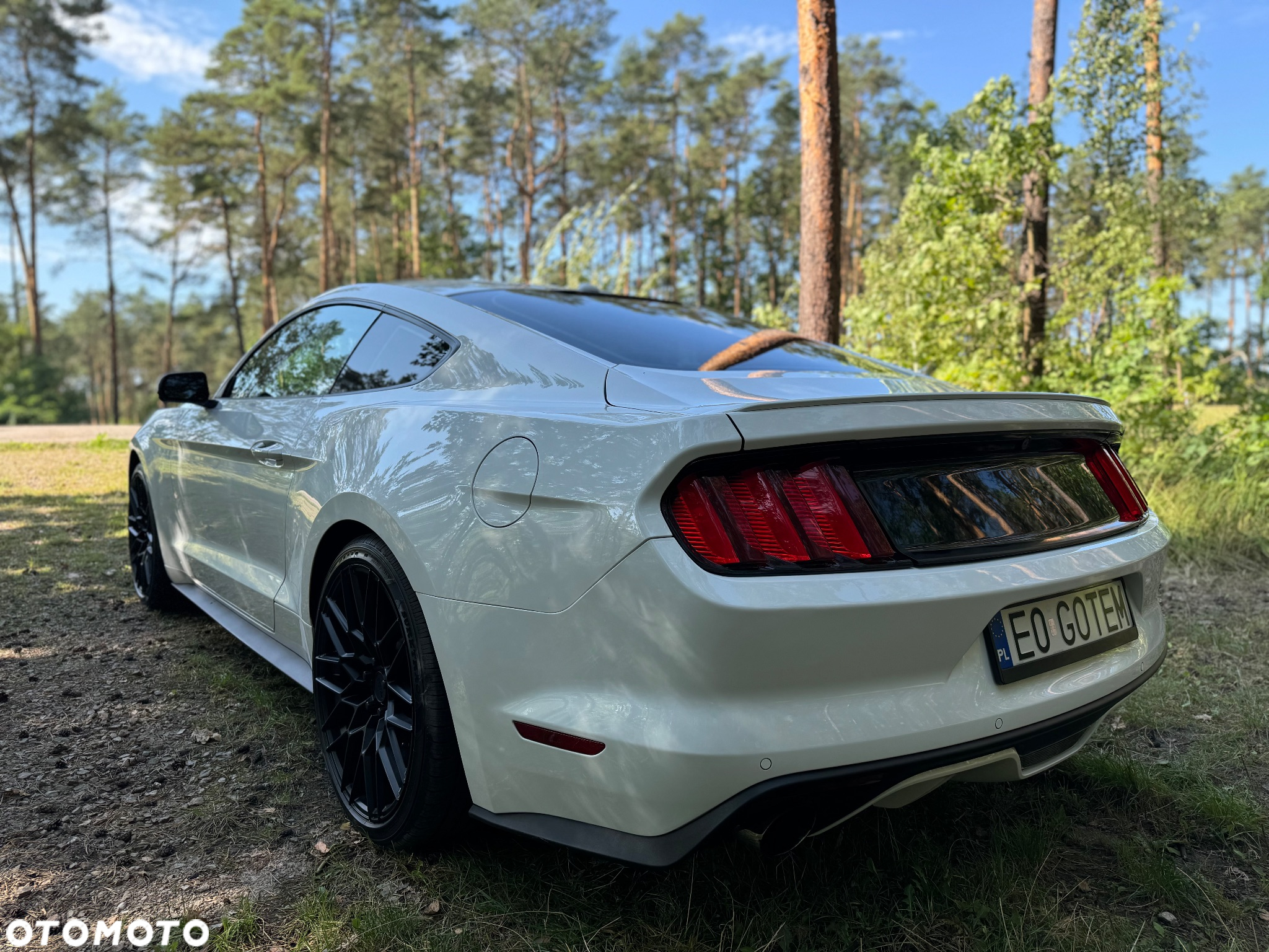 Ford Mustang - 4