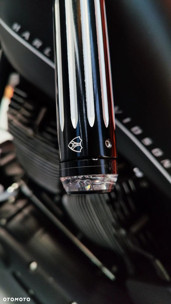 Harley-Davidson Night Train - 27