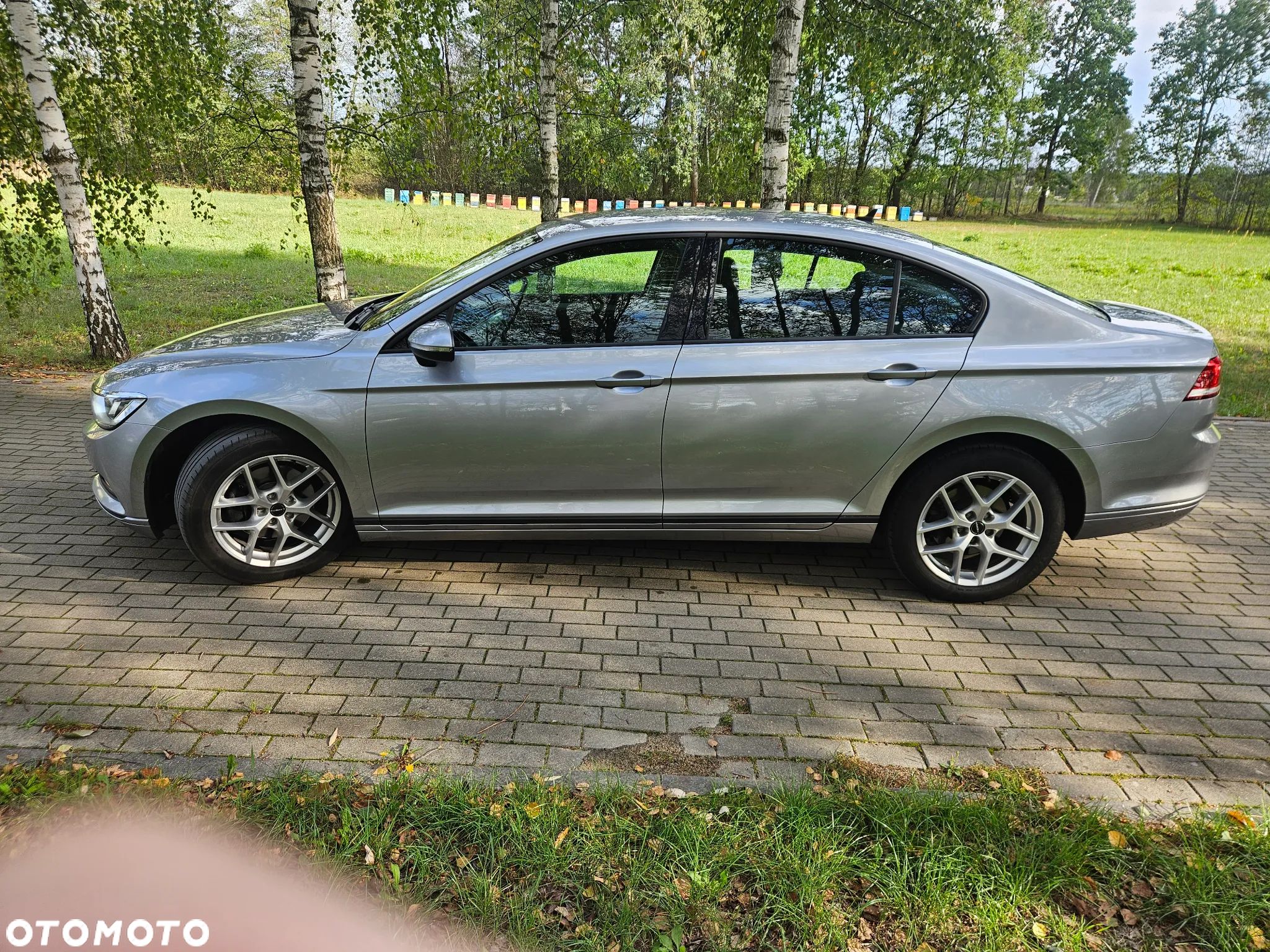 Volkswagen Passat - 1