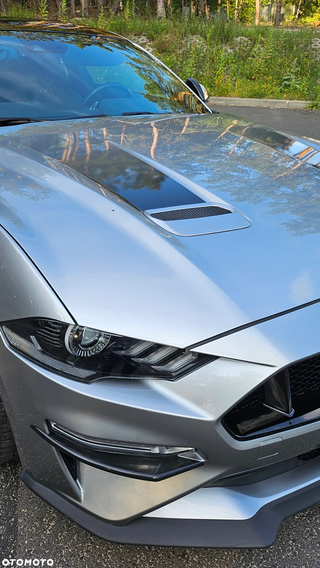 Ford Mustang 5.0 V8 GT - 15