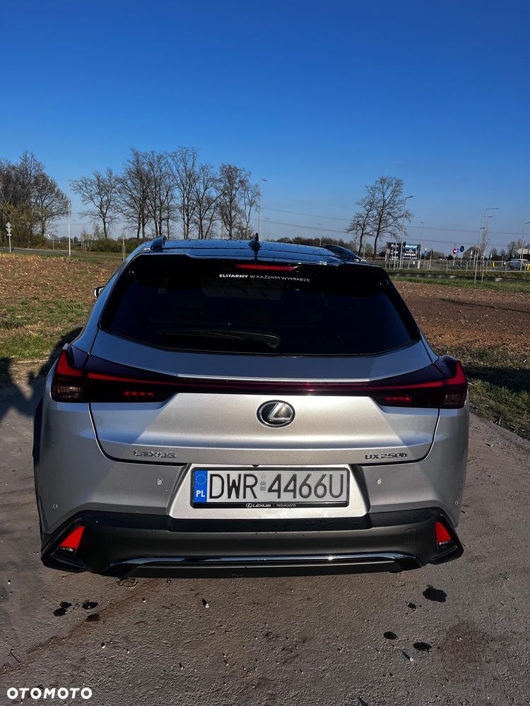Lexus UX 200 GPF F Sport 2WD - 17