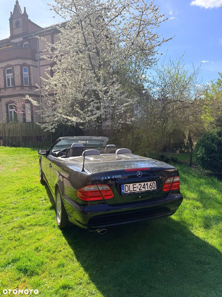 Mercedes-Benz CLK - 12