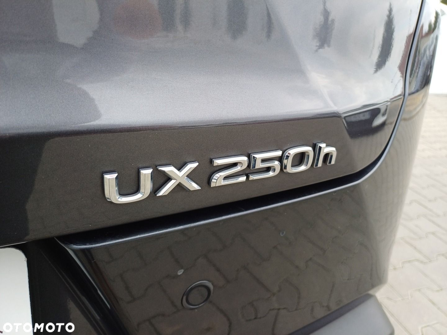 Lexus UX - 29