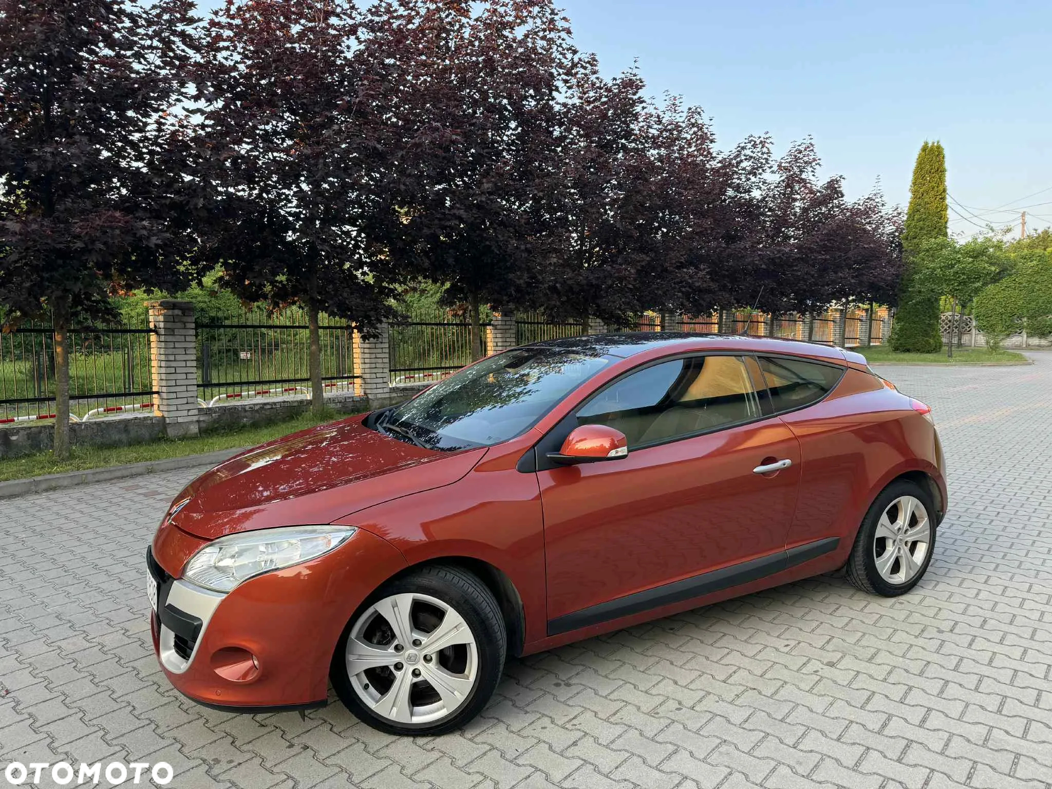 Renault Megane 1.6 16V Color Edition Euro5 - 5