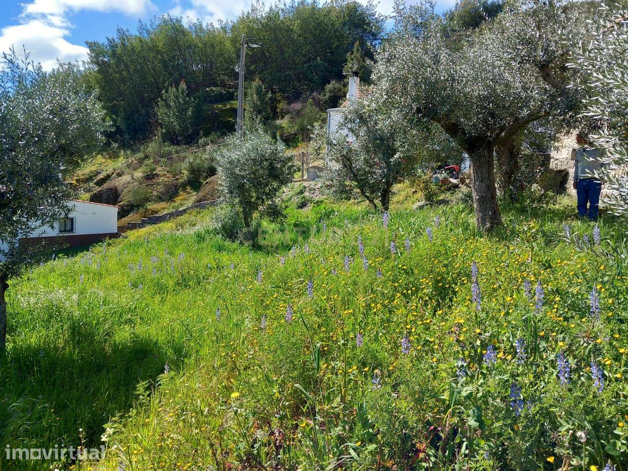 Terreno Rustico Alpedrinha - Grande imagem: 3/6