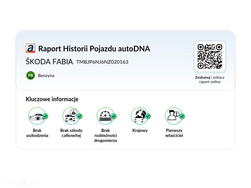Skoda Fabia 1.0 TSI Ambition Plus - 40