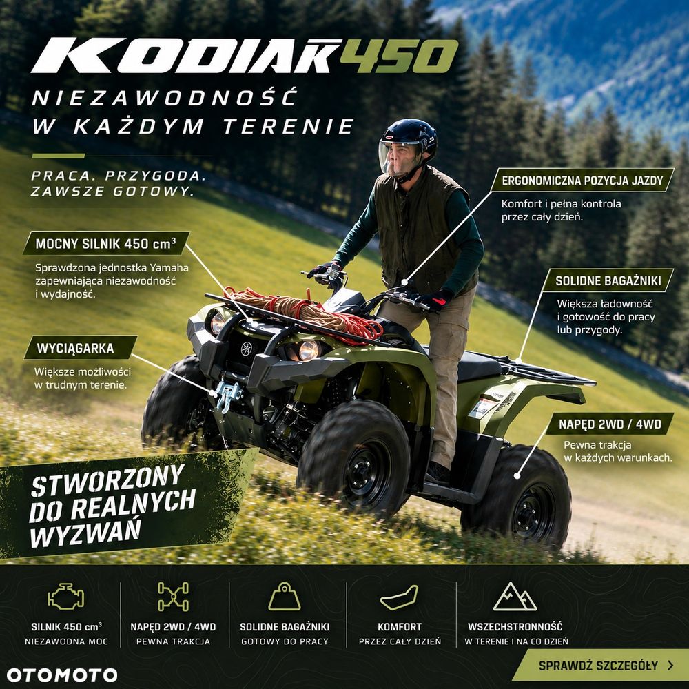 Yamaha Kodiak - 1