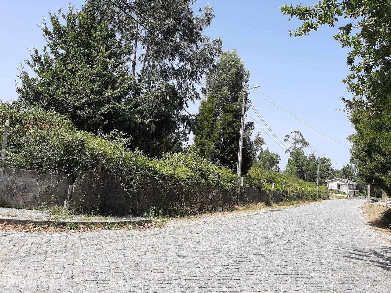 Arrenda Terreno São Tiago Penafiel - Grande imagem: 3/13
