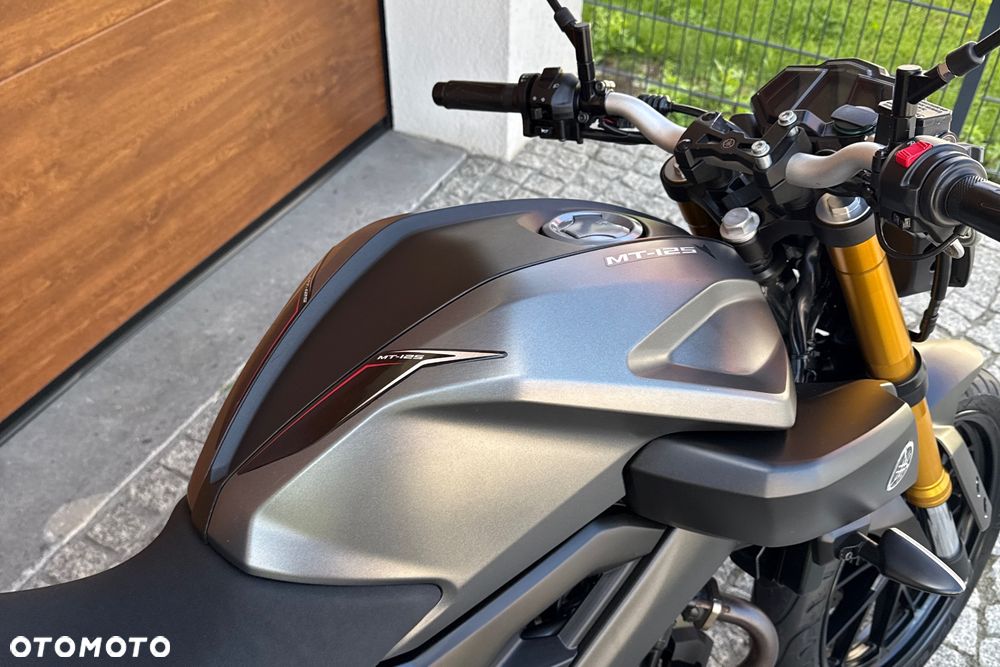 Yamaha MT - 6
