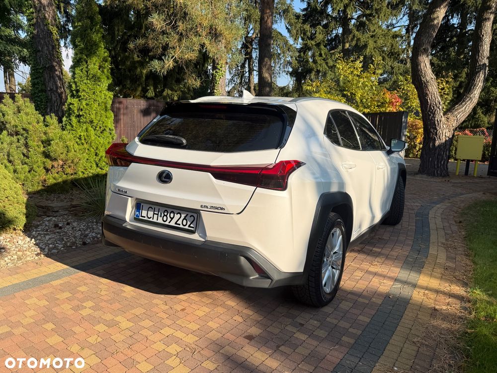 Lexus UX 250h Elegance 2WD - 5