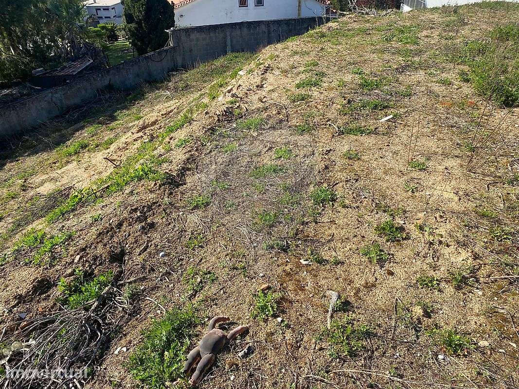 Terreno  para venda - Grande imagem: 5/6