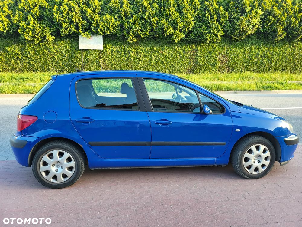 Peugeot 307 - 4
