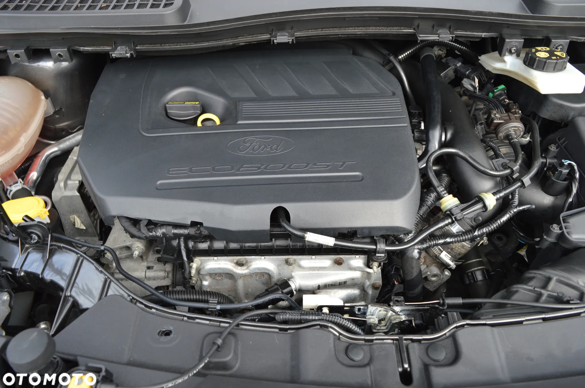 Ford Kuga 1.5 EcoBoost 2x4 Titanium - 24