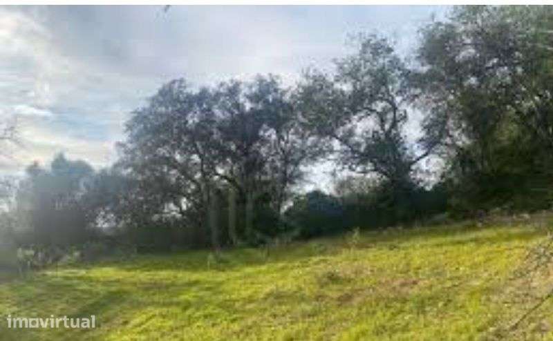 Terreno agrícola - Grande imagem: 2/3