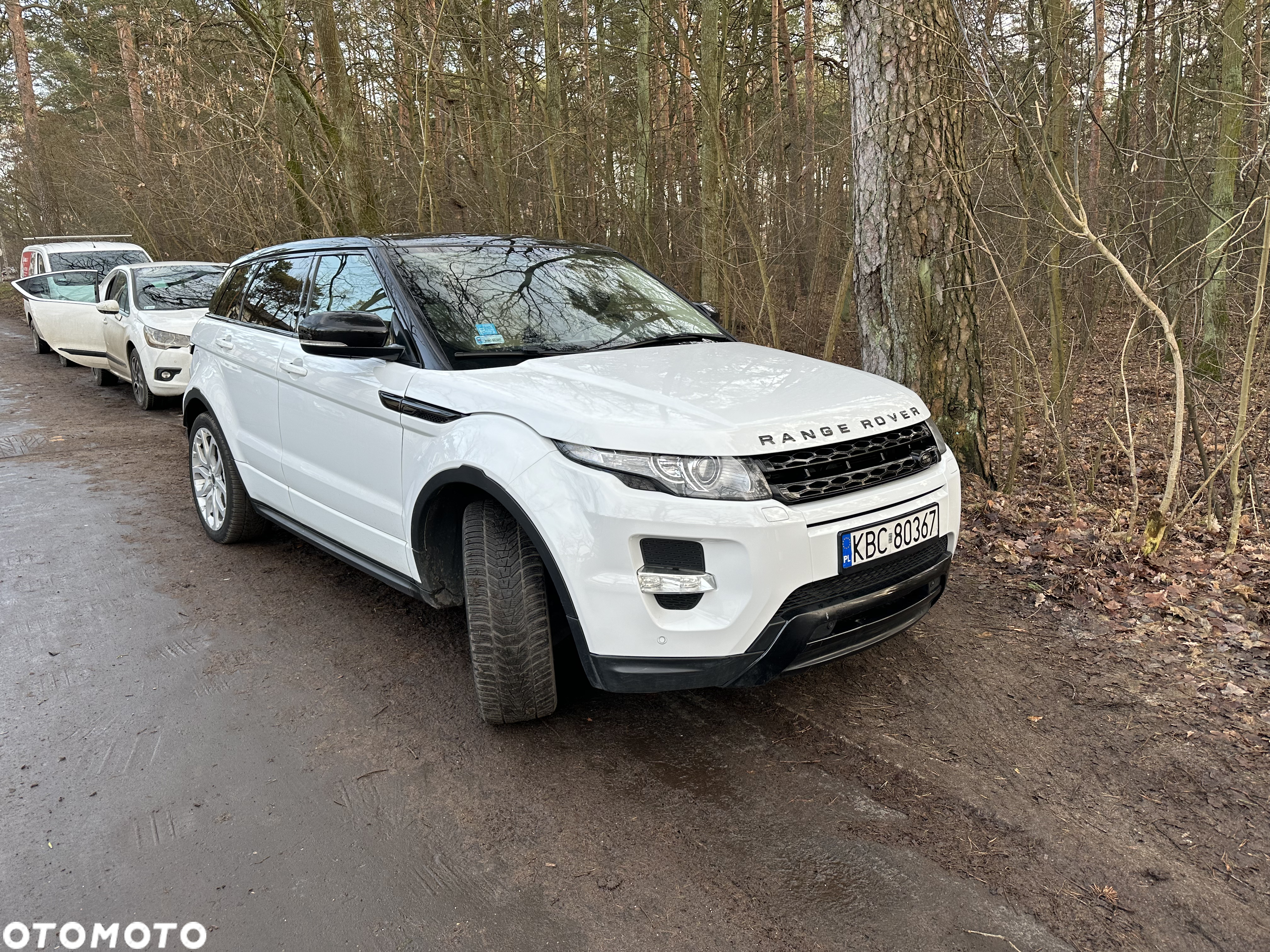 Land Rover Range Rover Evoque - 12
