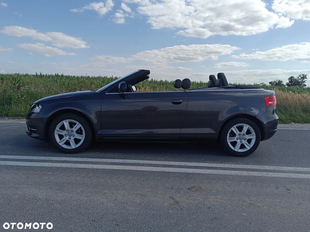 Audi A3 Cabrio 1.9 TDI DPF Ambition - 15