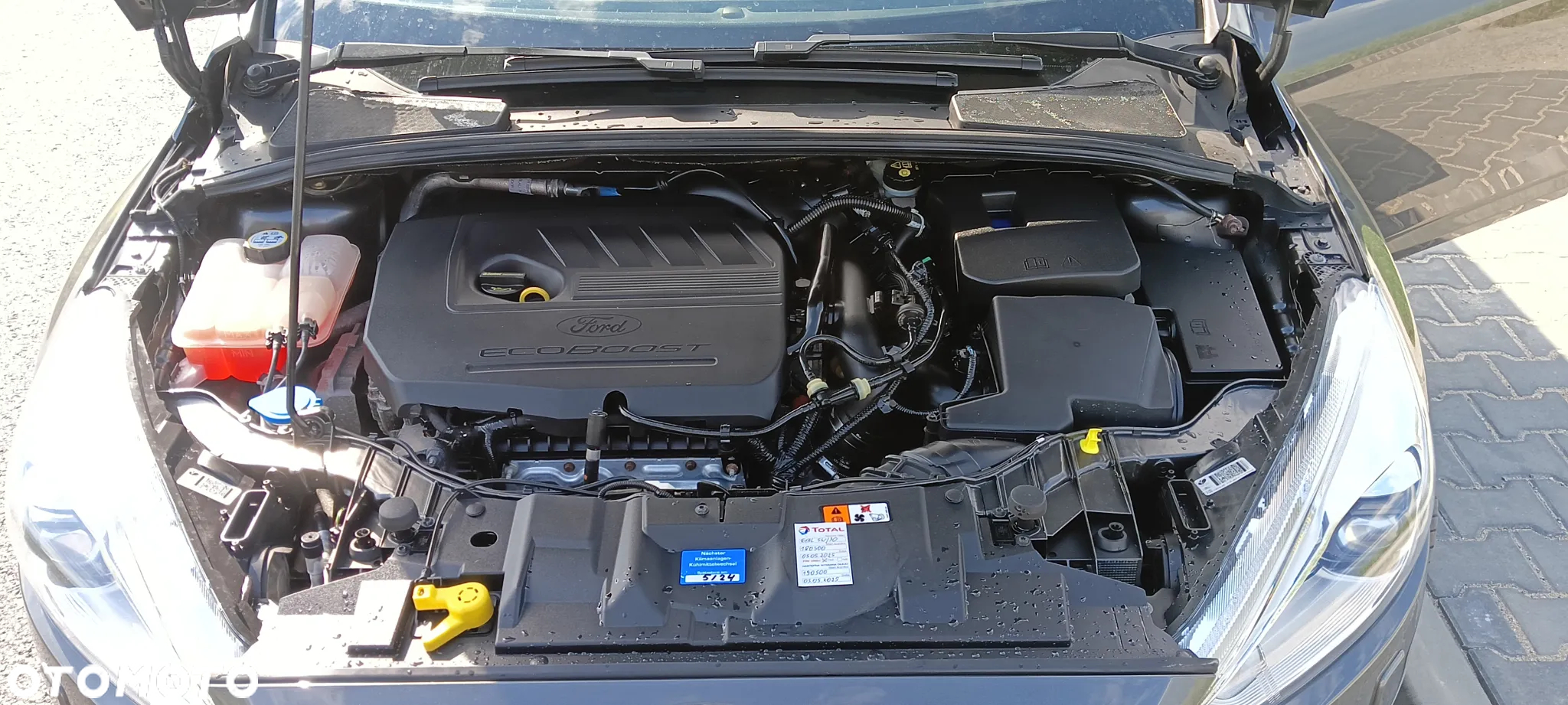 Ford Focus Turnier 1.5 EcoBoost Start-Stopp-System Titanium - 14