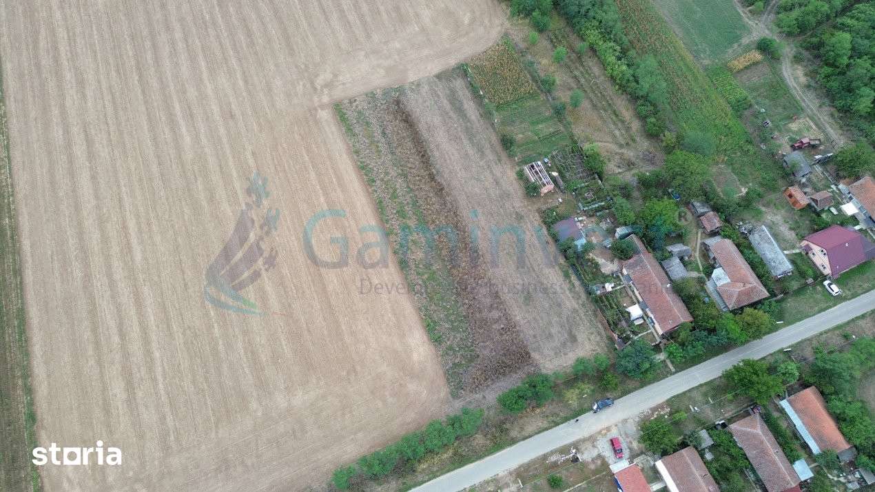 Teren intravilan de vanzare, Bihor, V4116, Gaminvest - Imagine principală: 5/11
