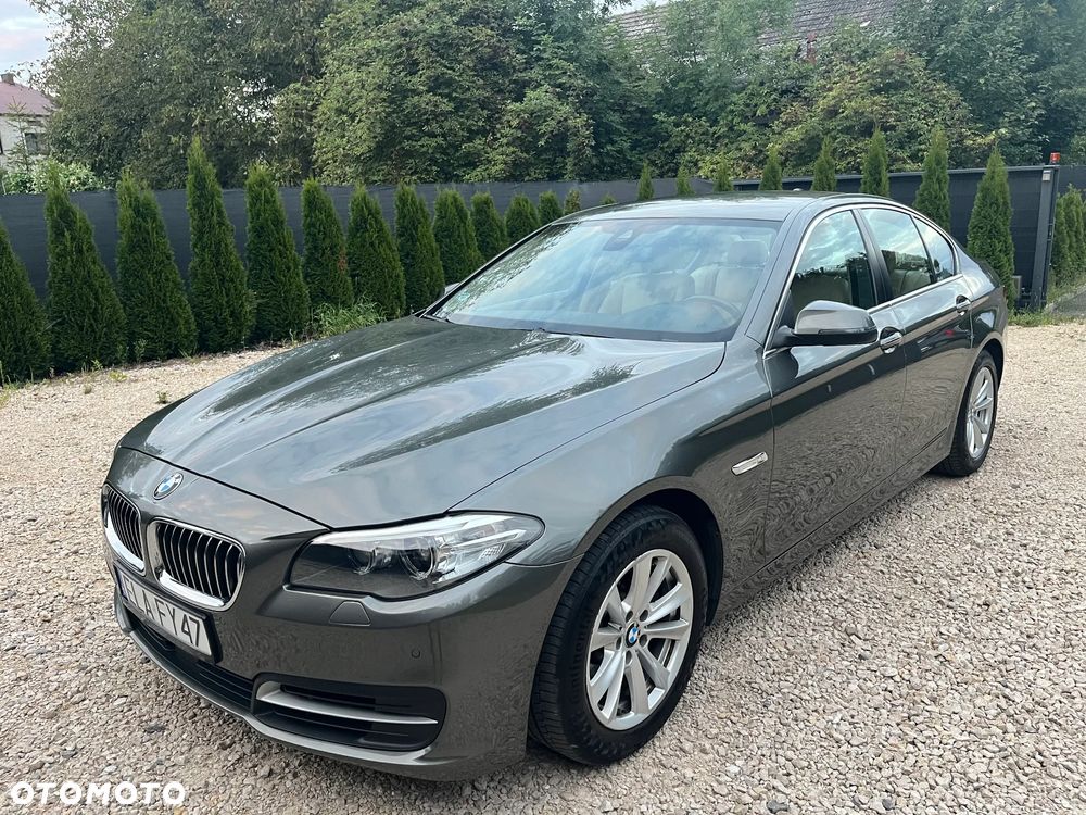 BMW Seria 5 520d Efficient Dynamics Edition - 2