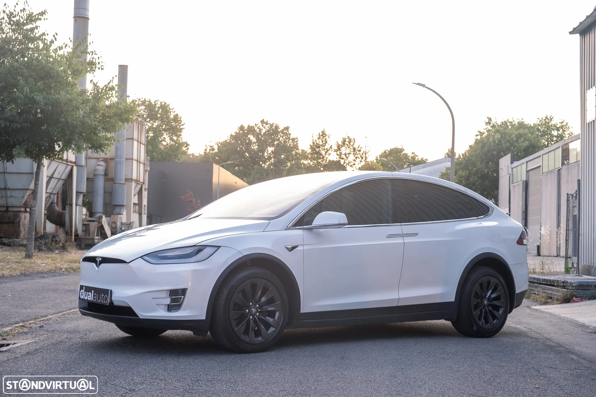 Tesla Model X 100 kWh Long Range AWD - 13