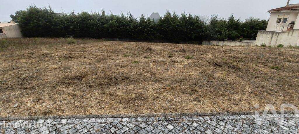Terreno para construção em Figueiró dos Vinhos e Bairradas - Grande imagem: 4/12