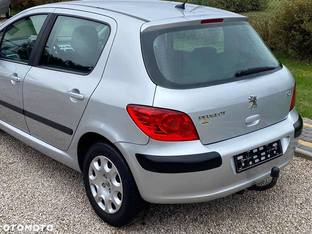Peugeot 307 110 Tendance - 10