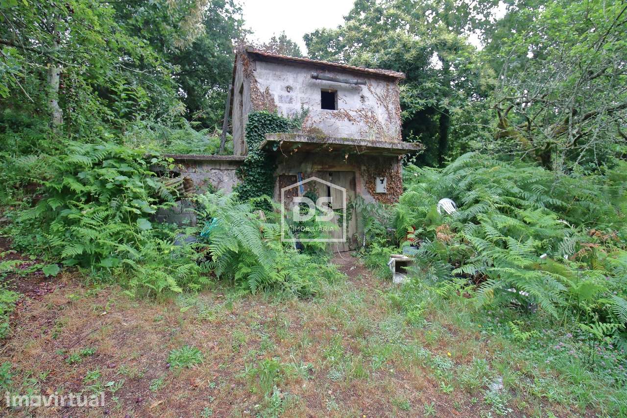 Terreno  Venda em Souselo,Cinfães - Grande imagem: 2/14