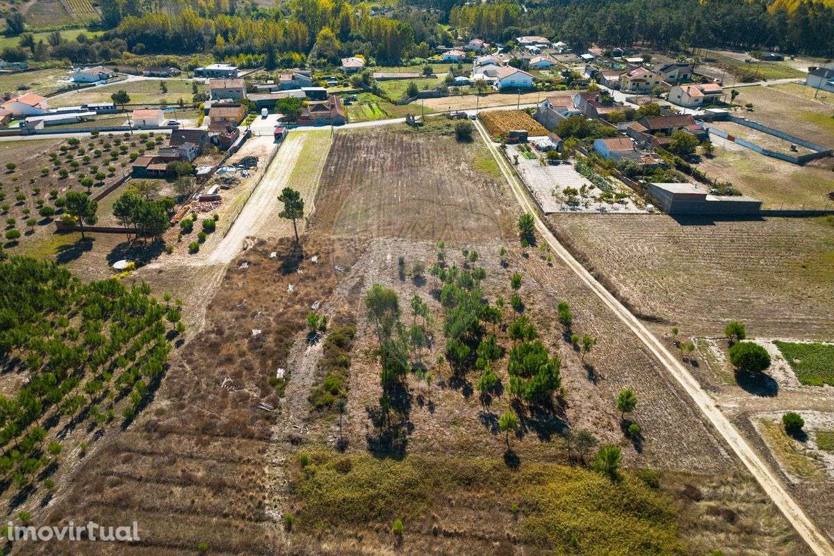 Terreno  para venda - Grande imagem: 3/10