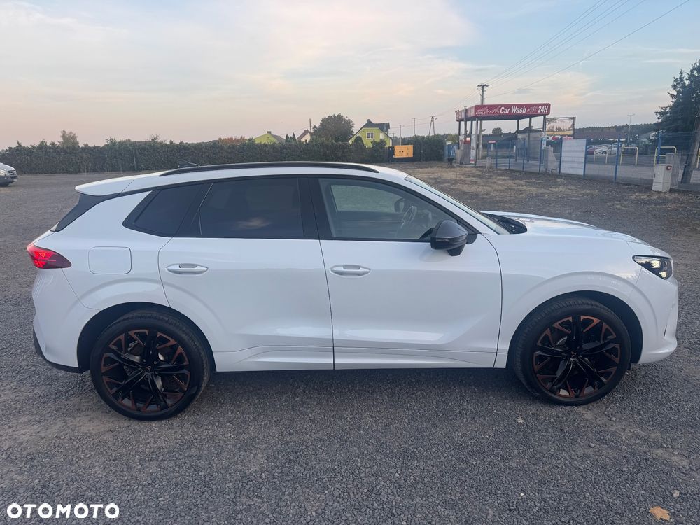 Cupra Terramar - 5