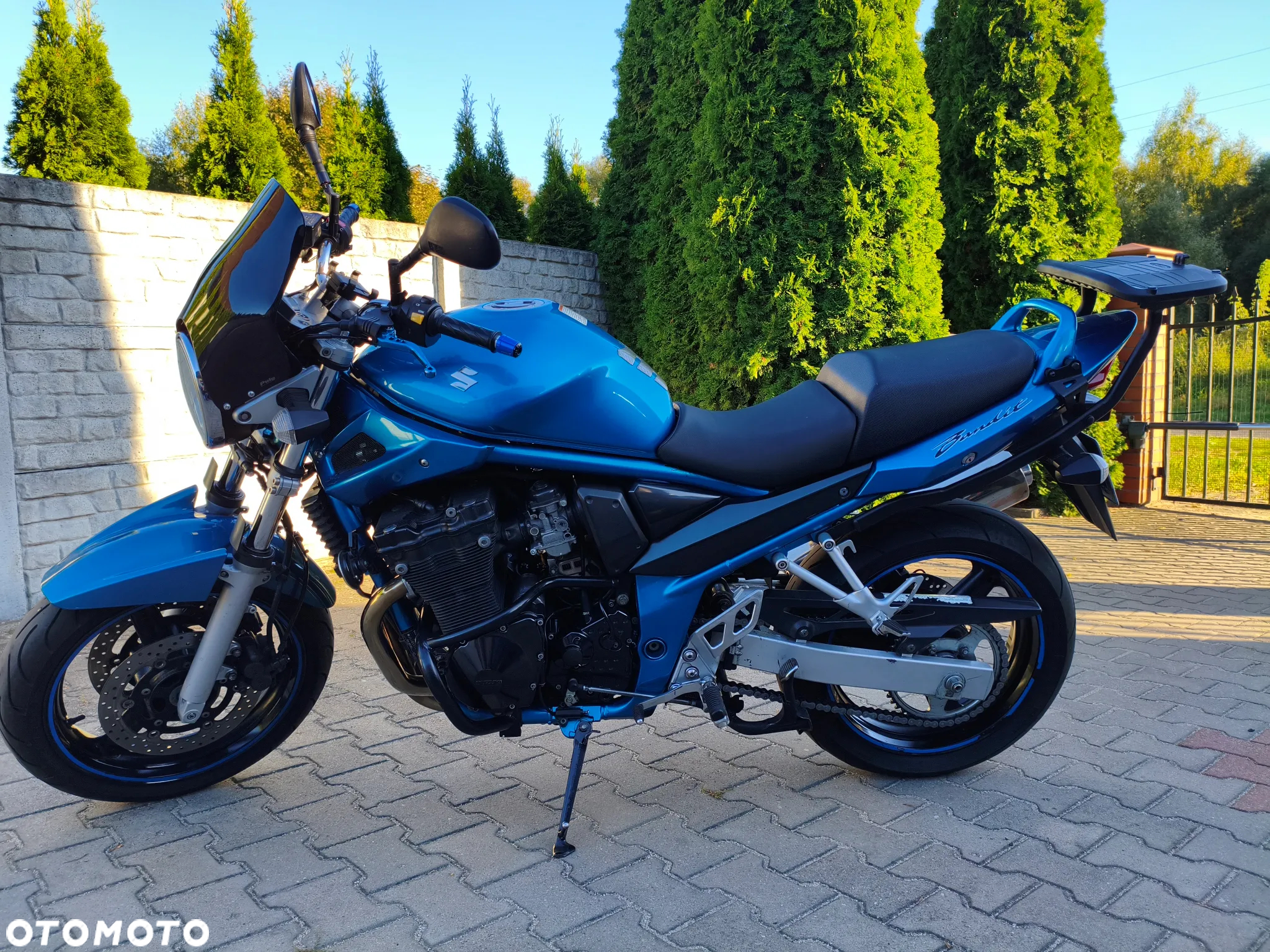 Suzuki Bandit - 6