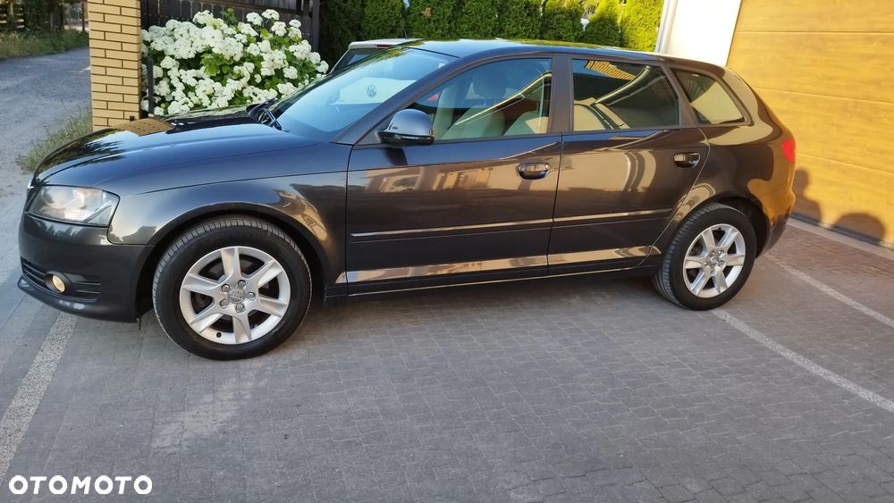 Audi A3 Sportback 1.6 Attraction - 12