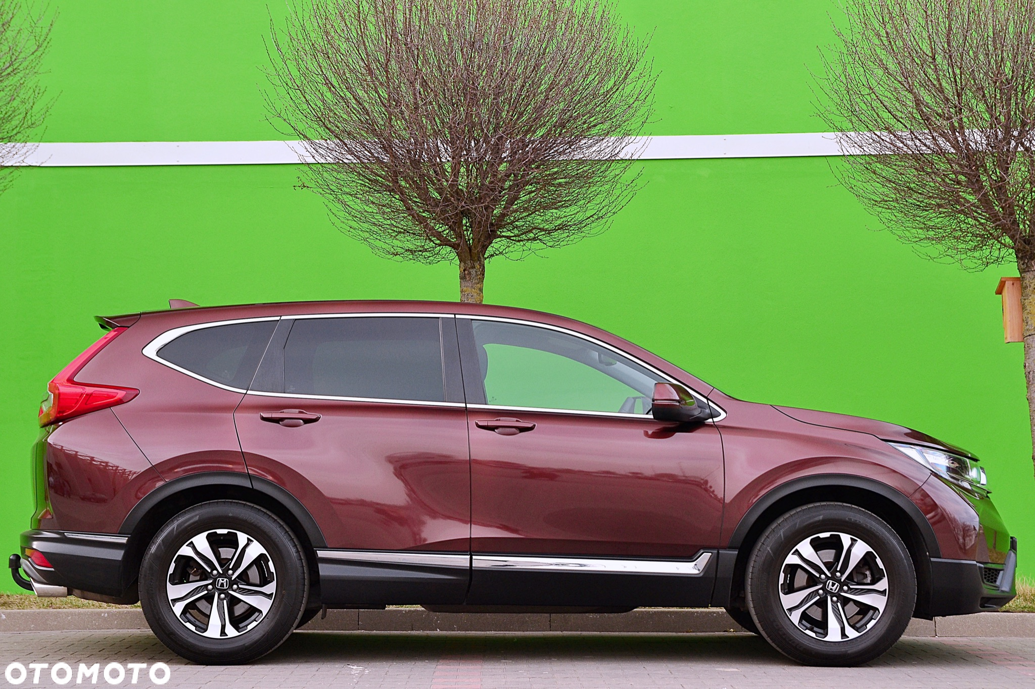 Honda CR-V 1.5T 2WD Elegance - 4