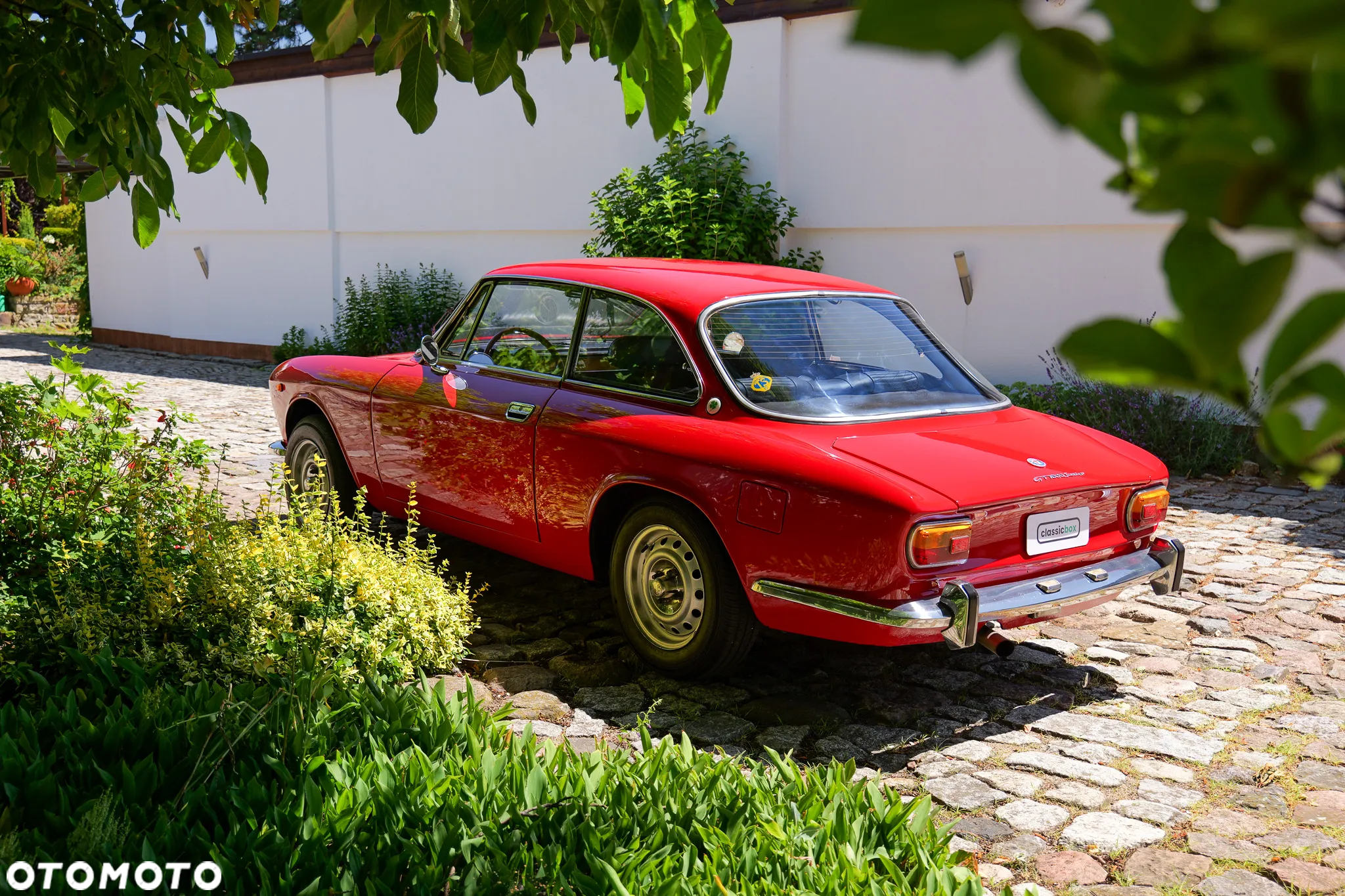 Alfa Romeo GT - 11