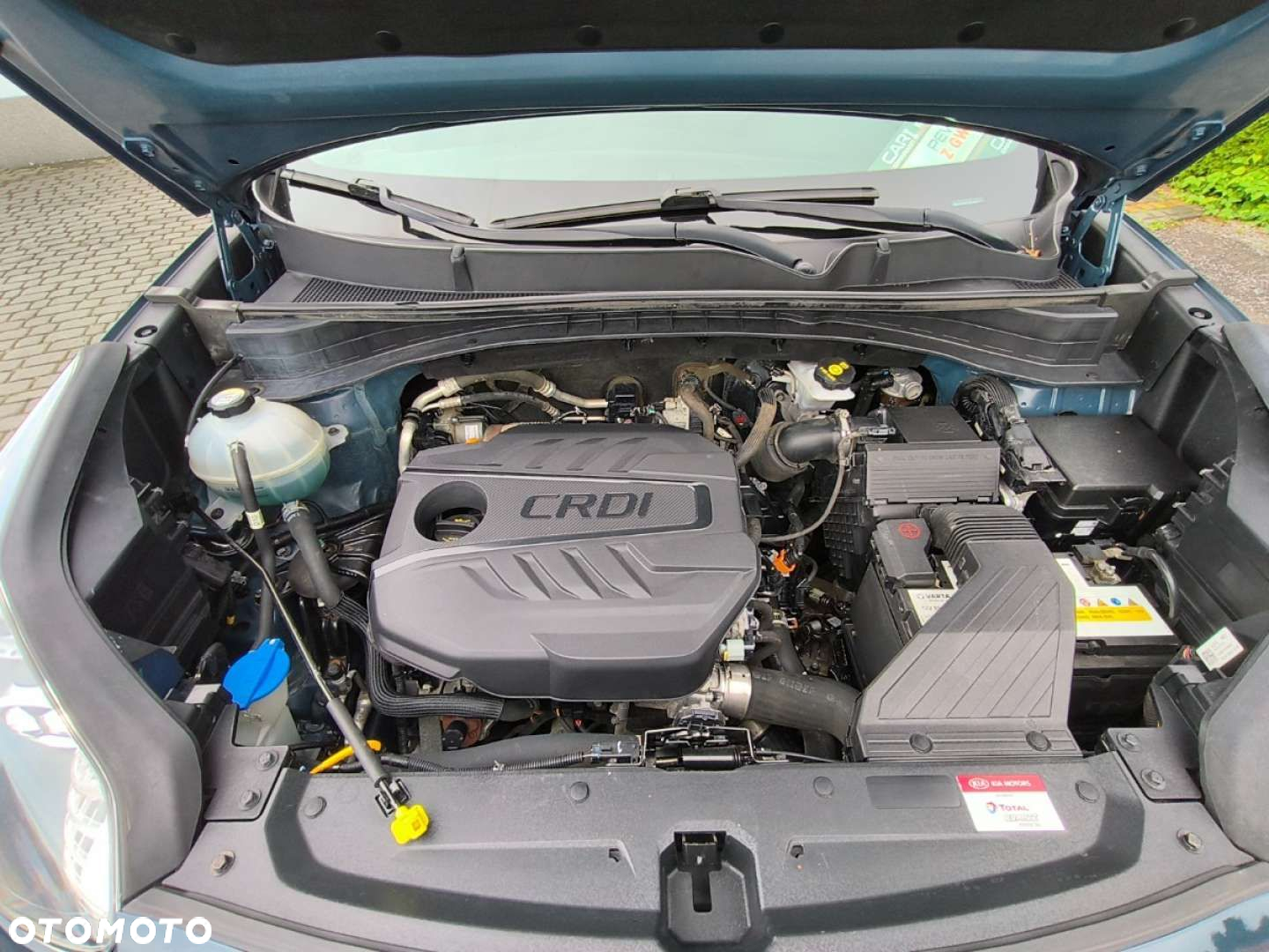 Kia Sportage - 22
