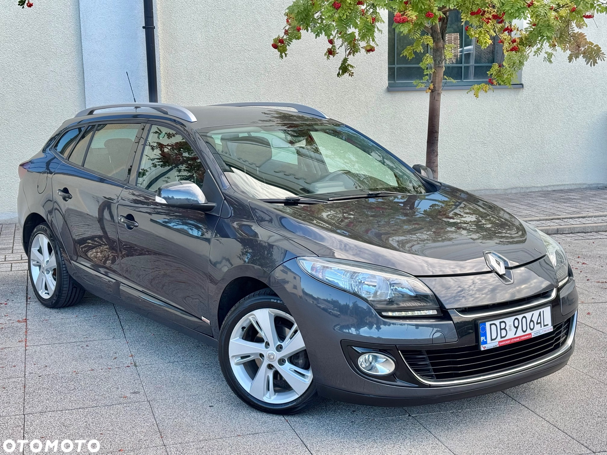 Renault Megane 1.6 16V Limited - 21