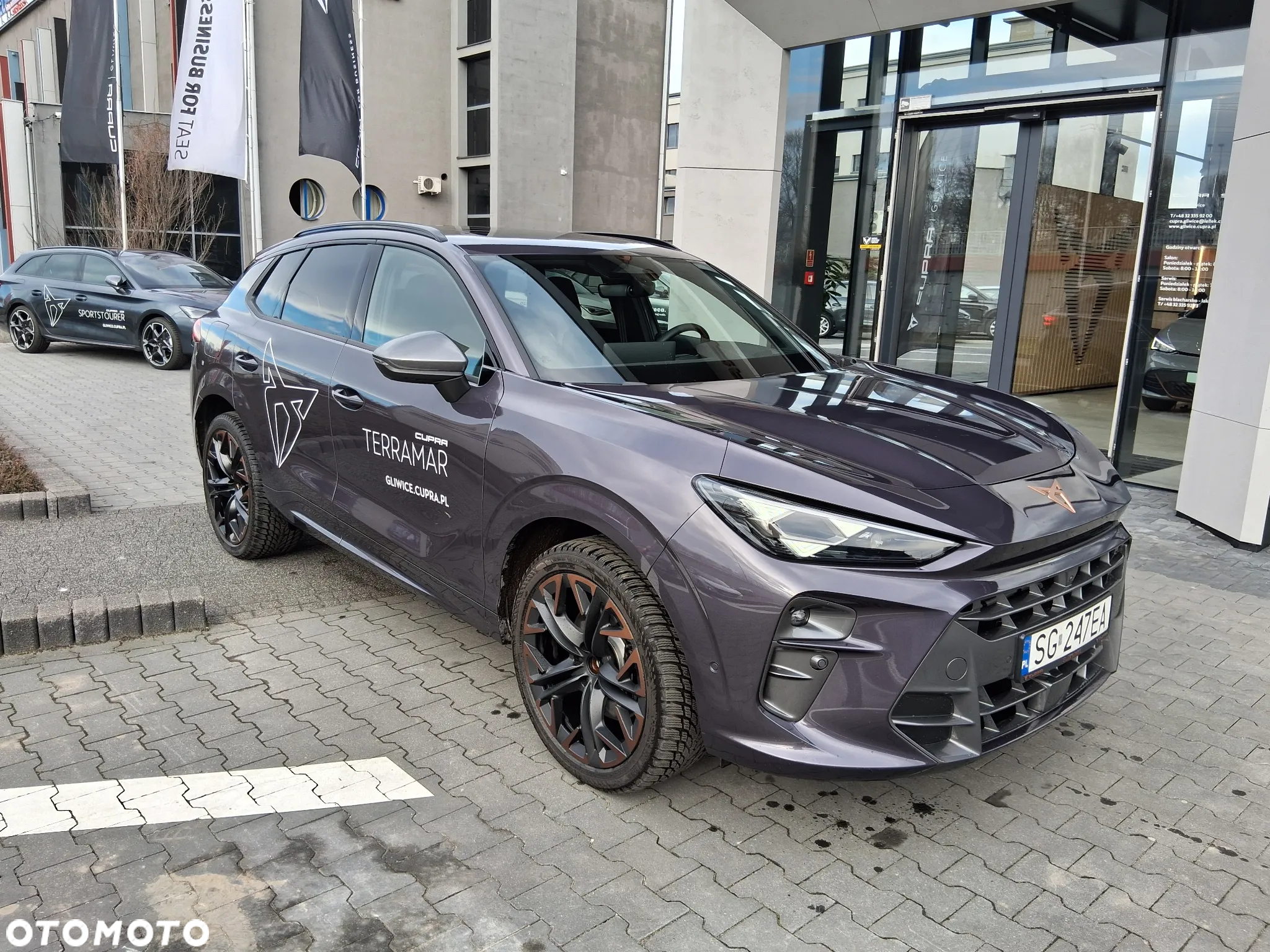 Cupra Terramar - 4