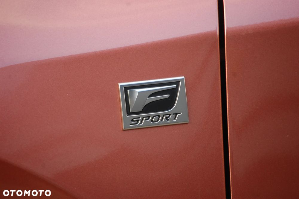 Lexus RX - 12
