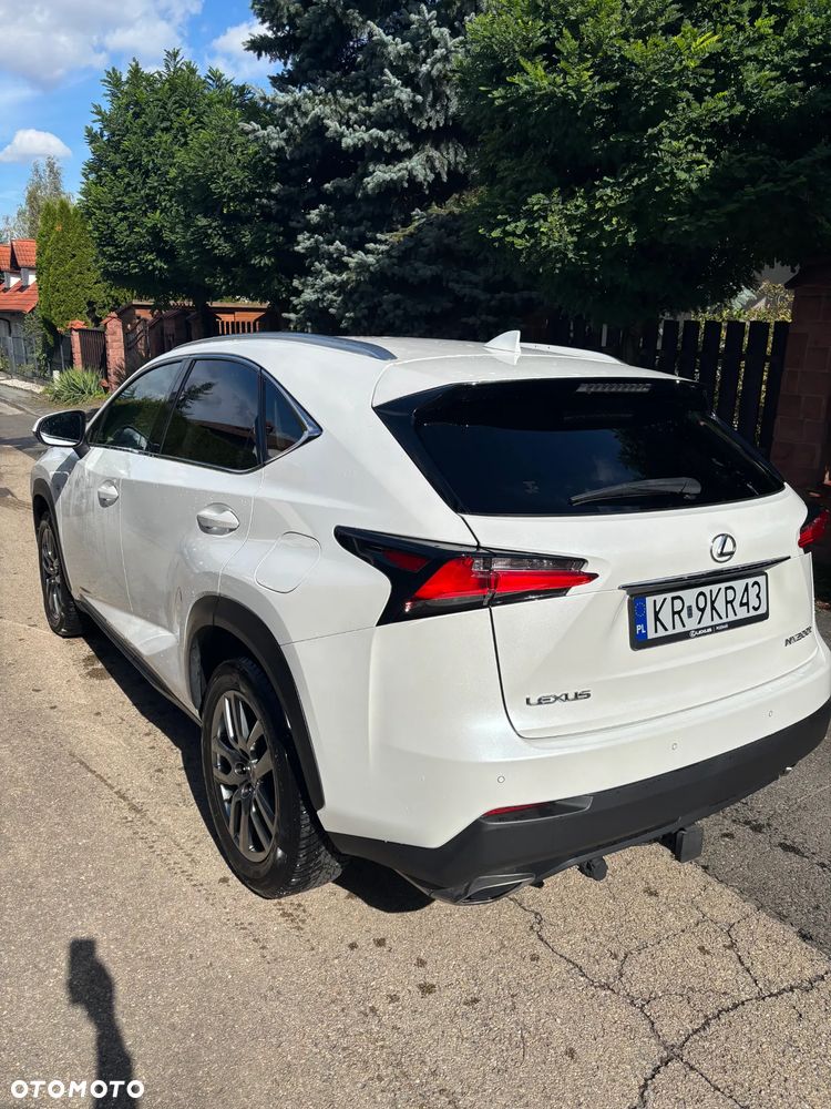 Lexus NX - 7
