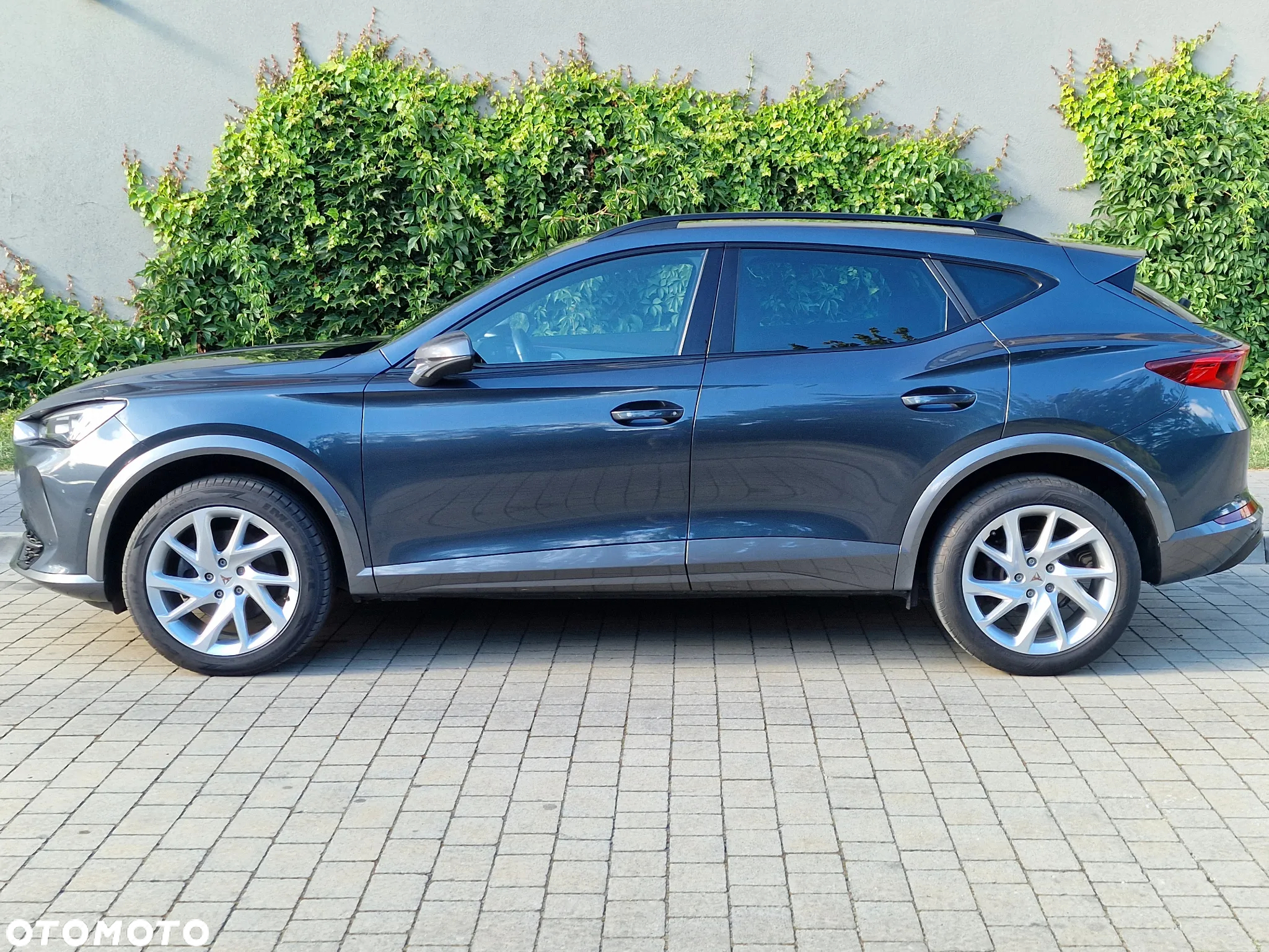 Cupra Formentor 1.5 TSI - 2