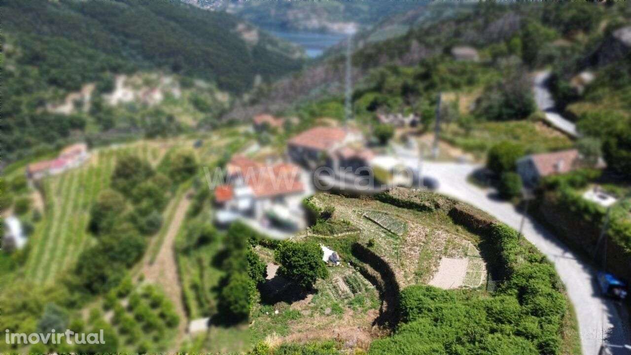 Terreno / Baião, Gove - Grande imagem: 2/2