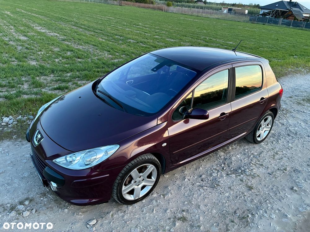 Peugeot 307 2.0 XT - 16