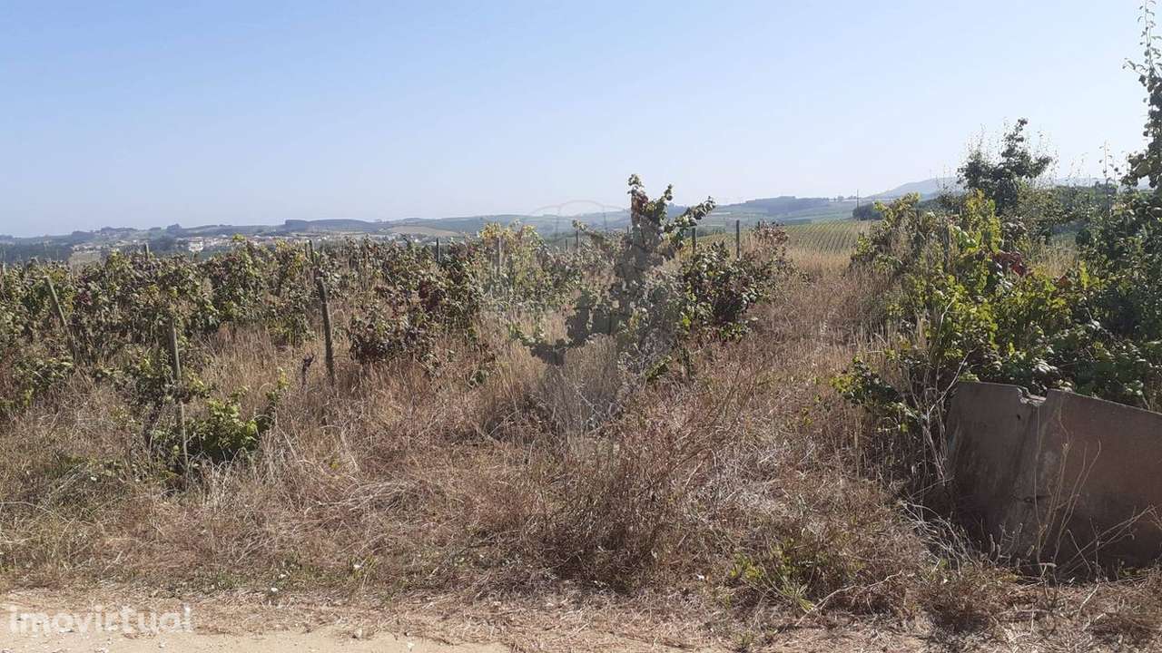 Terreno  para venda - Grande imagem: 4/7