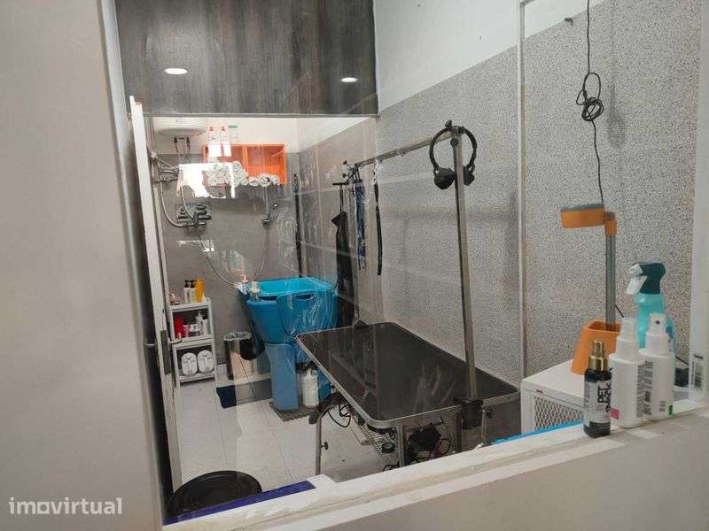 Trespasse de loja de animais ,banho e tosquia - Grande imagem: 5/5
