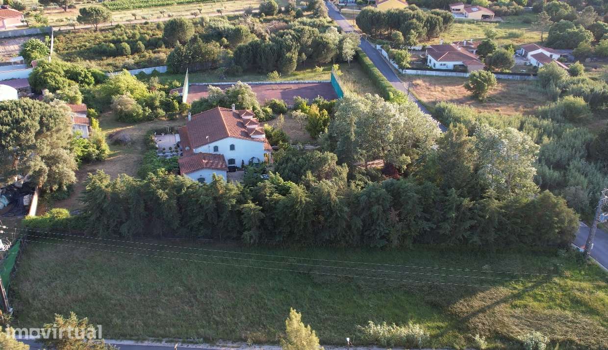 Terreno  Venda em Vale de Santarém,Santarém - Grande imagem: 4/4